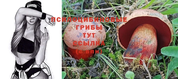 спайс Алексеевка