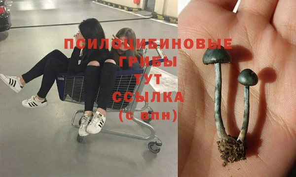 спайс Алексеевка